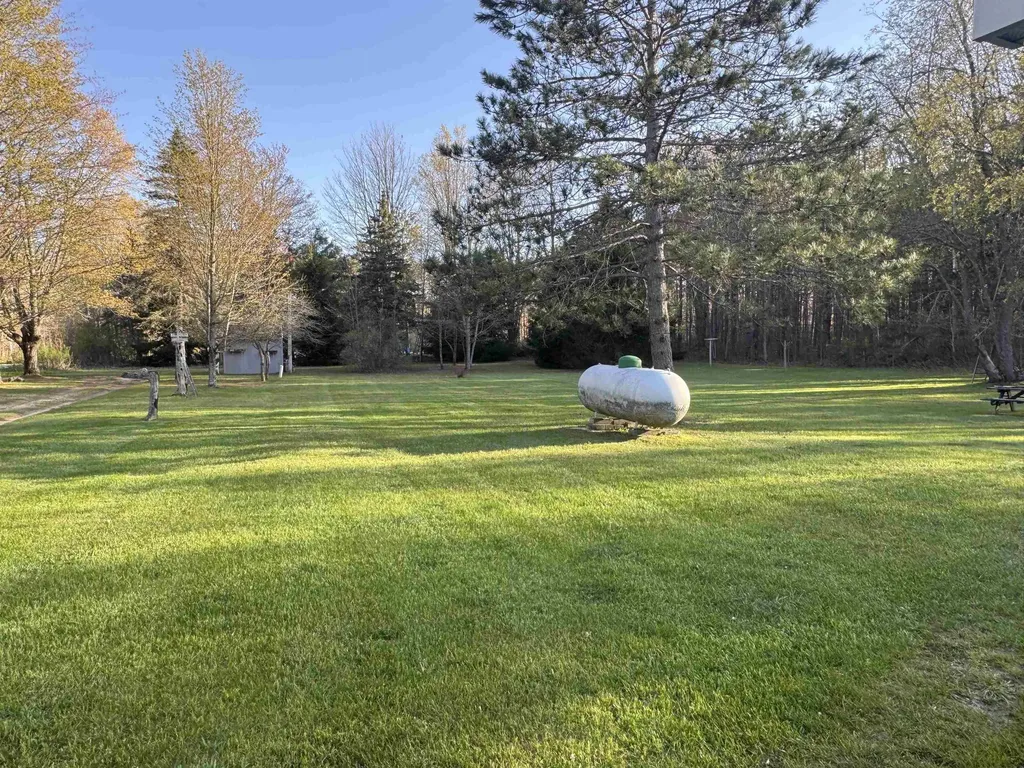 1012 S 35 Road Selma Township MI 49601