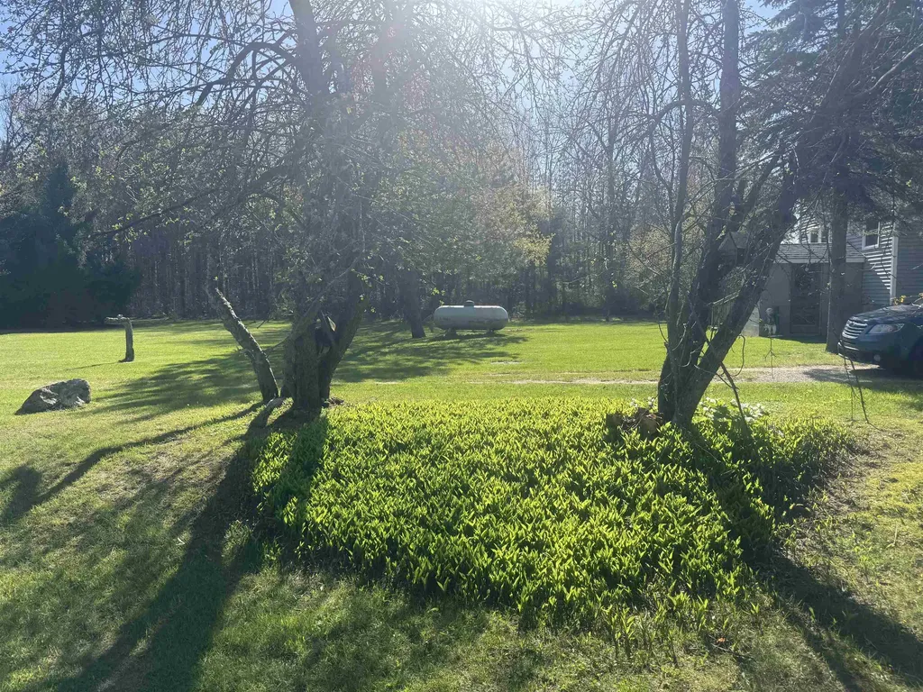 1012 S 35 Road Selma Township MI 49601