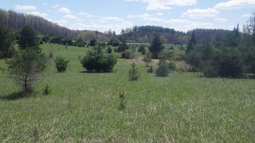 39 Road Clam Lake Township MI 49601