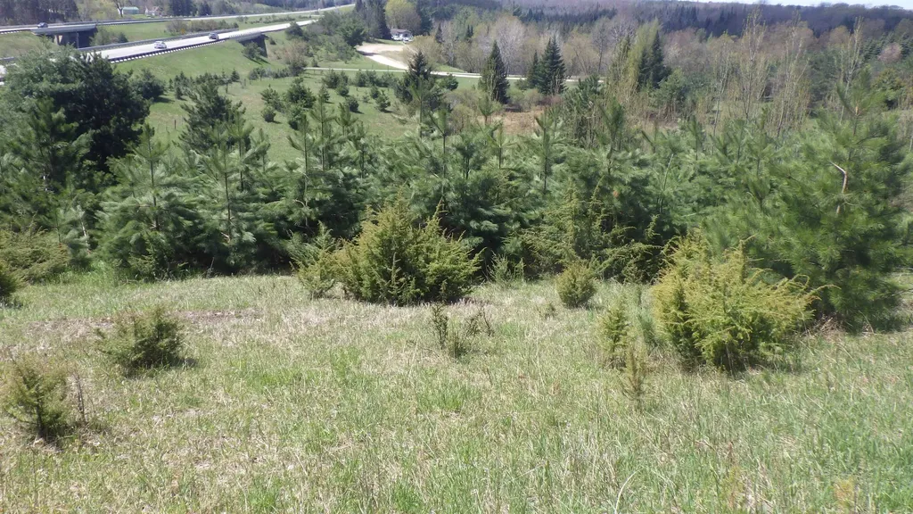 39 Road Clam Lake Township MI 49601