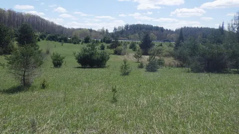 39 Road Clam Lake Township MI 49601