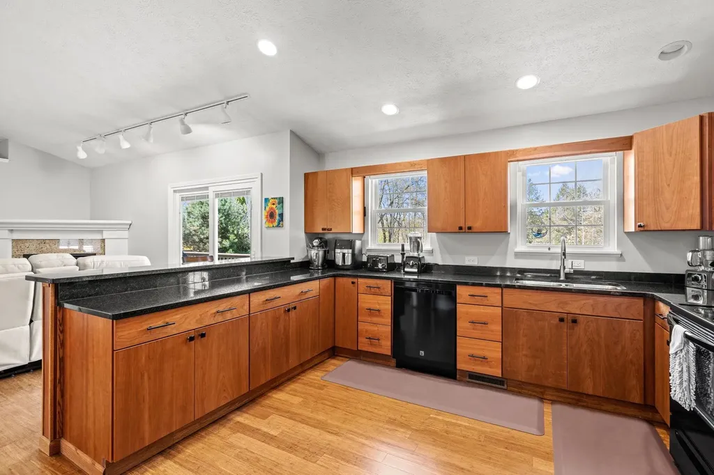 8673 Sun Bay Court Acme Township MI 49690