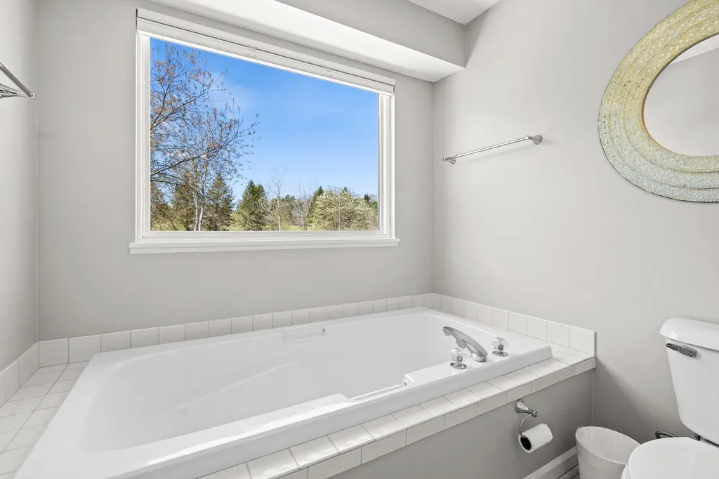 8673 Sun Bay Court Acme Township MI 49690