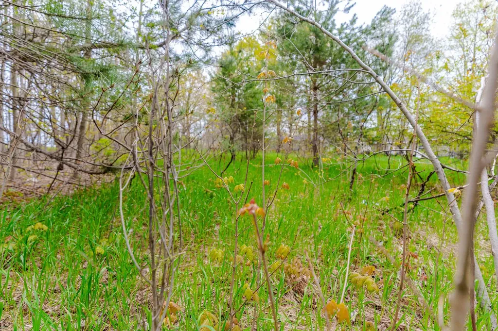 Parcel D Kuhn Drive Hanover Township MI 49620