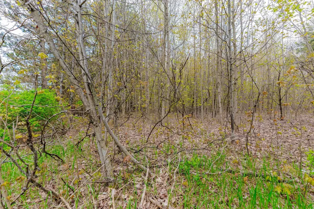 Parcel D Kuhn Drive Hanover Township MI 49620