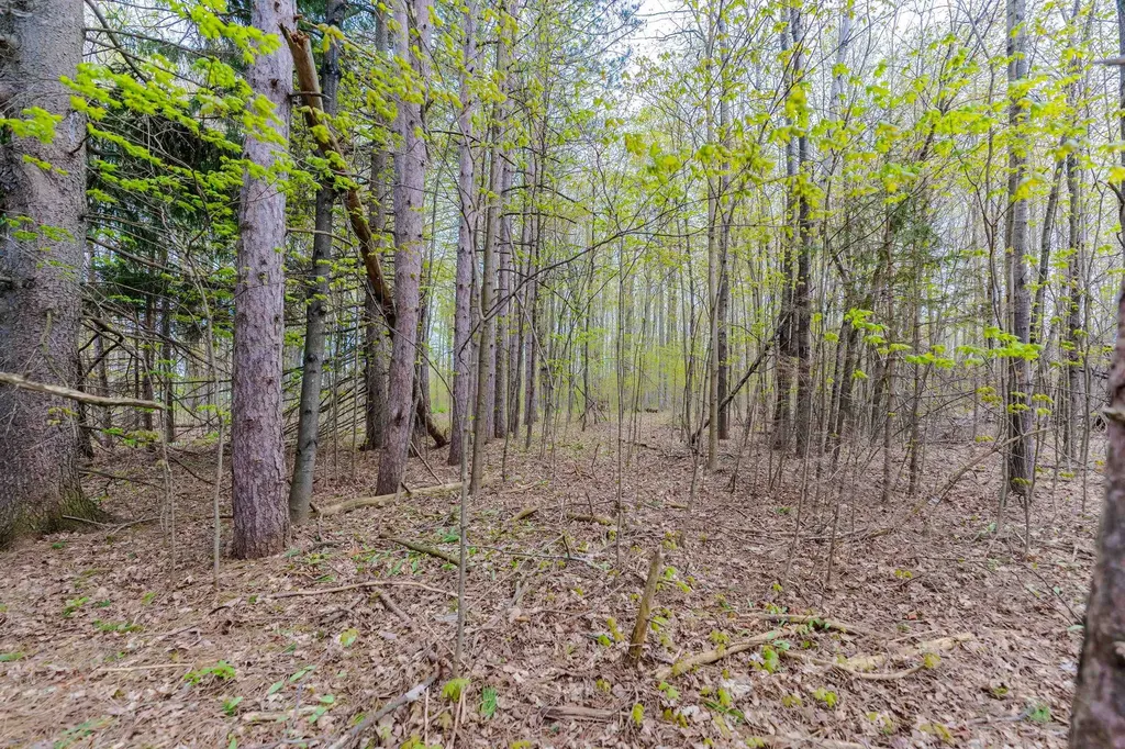 Parcel D Kuhn Drive Hanover Township MI 49620