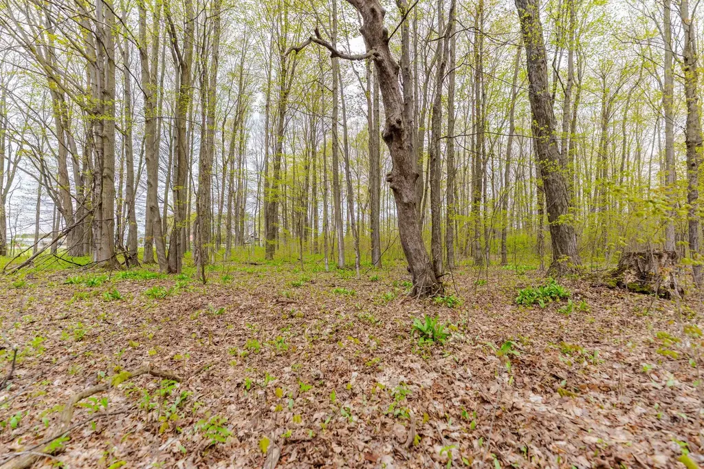 Parcel D Kuhn Drive Hanover Township MI 49620
