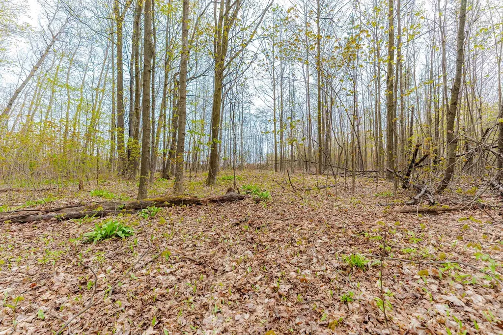 Parcel D Kuhn Drive Hanover Township MI 49620