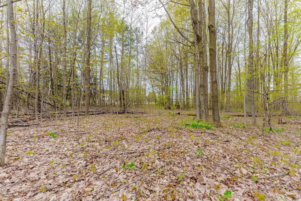 Parcel D Kuhn Drive Hanover Township MI 49620