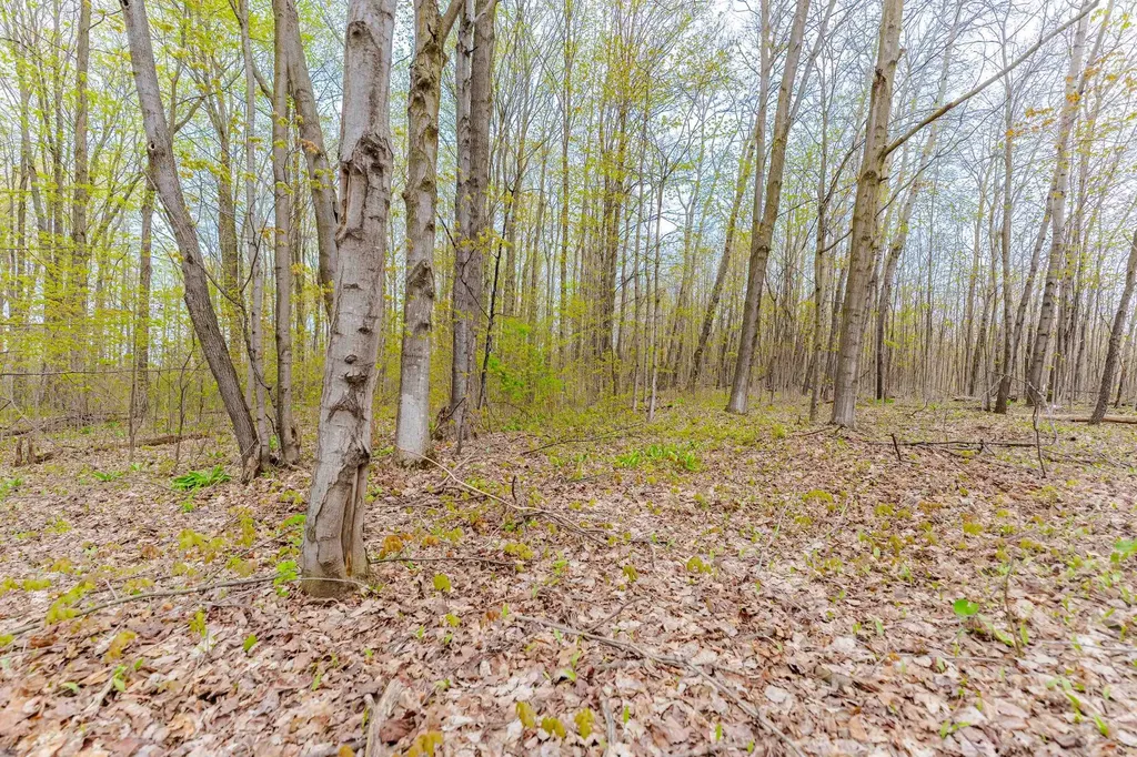 Parcel D Kuhn Drive Hanover Township MI 49620