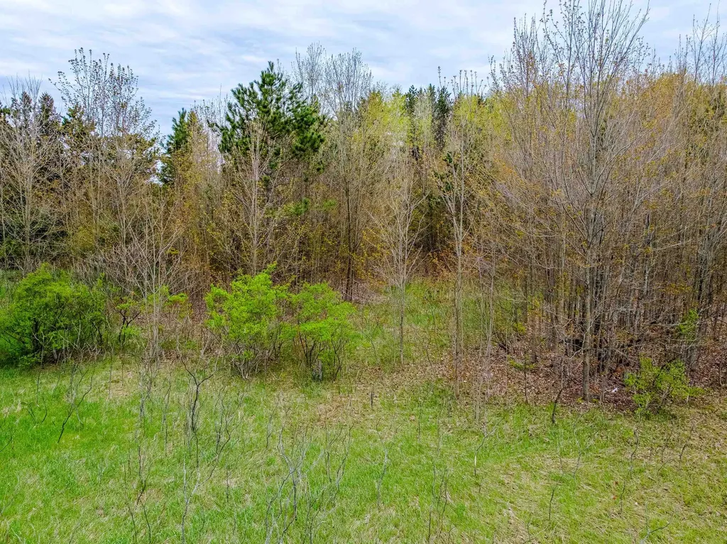 Parcel D Kuhn Drive Hanover Township MI 49620