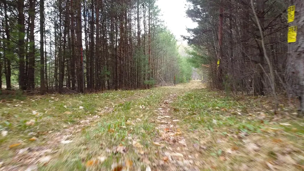 SE Spencer Road Orange Township MI 49646