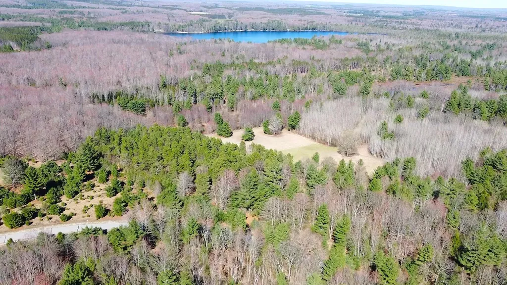 SE Spencer Road Orange Township MI 49646