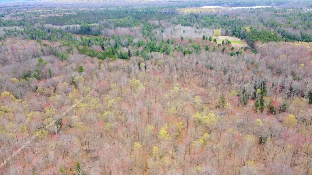 SE Spencer Road Orange Township MI 49646