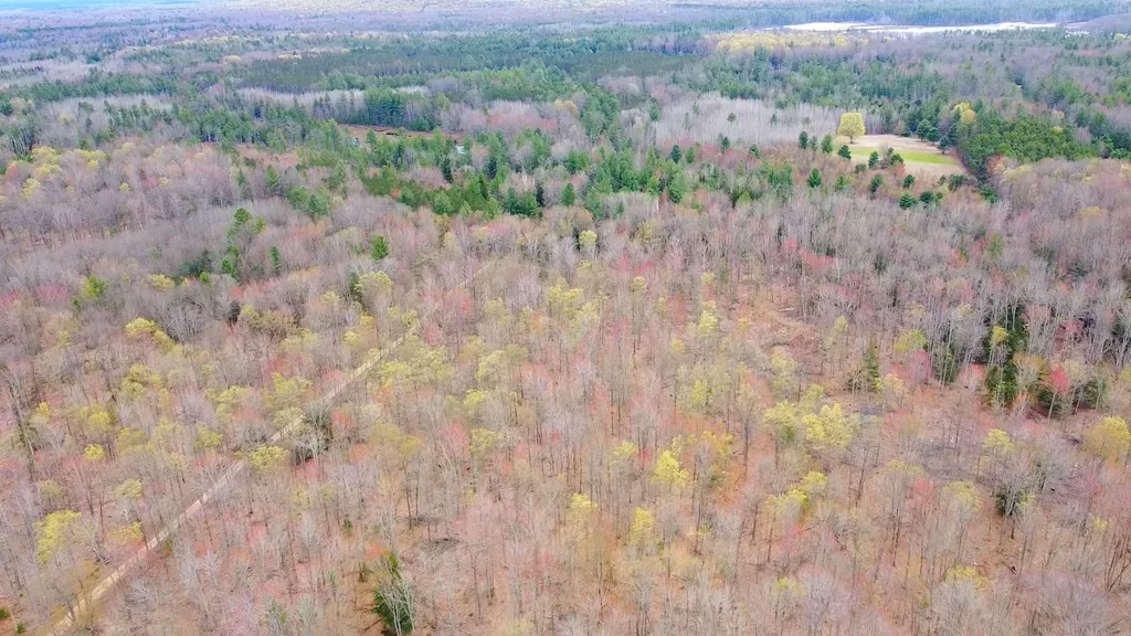 SE Spencer Road Orange Township MI 49646