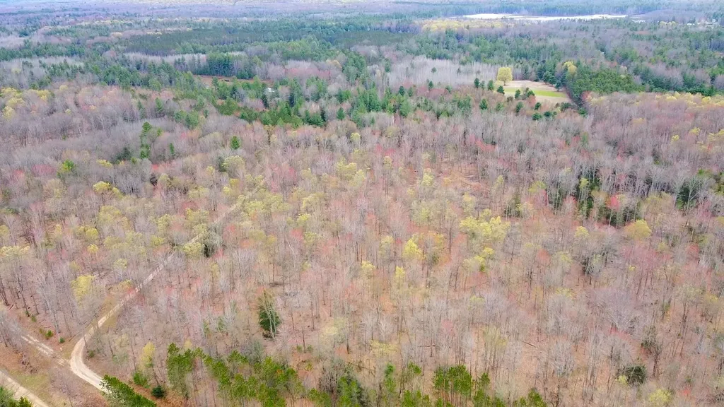 SE Spencer Road Orange Township MI 49646