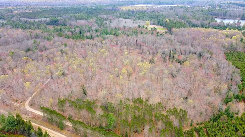 SE Spencer Road Orange Township MI 49646