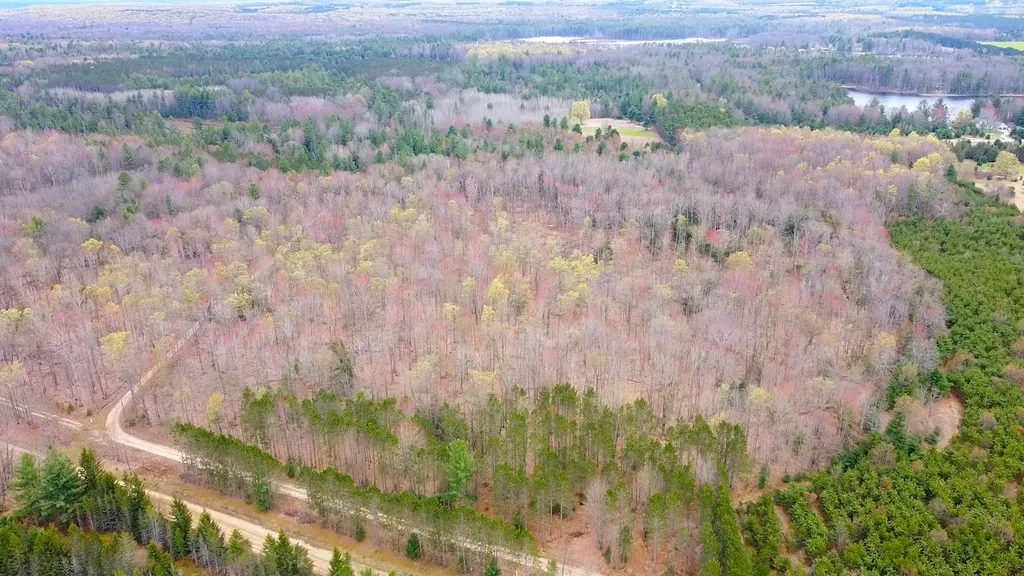 SE Spencer Road Orange Township MI 49646