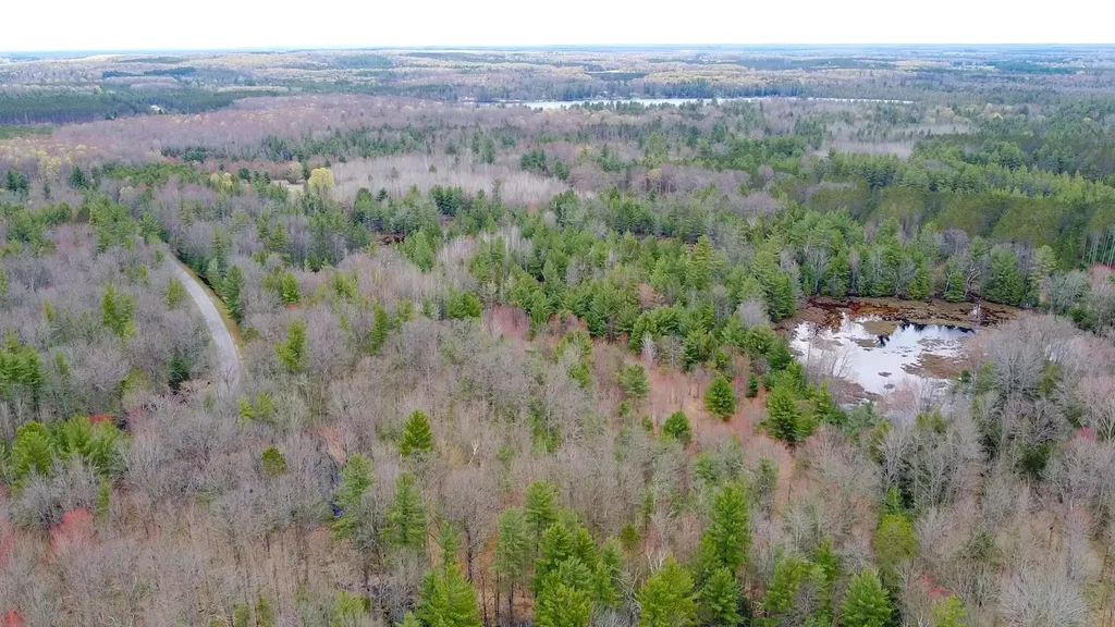 SE Spencer Road Orange Township MI 49646