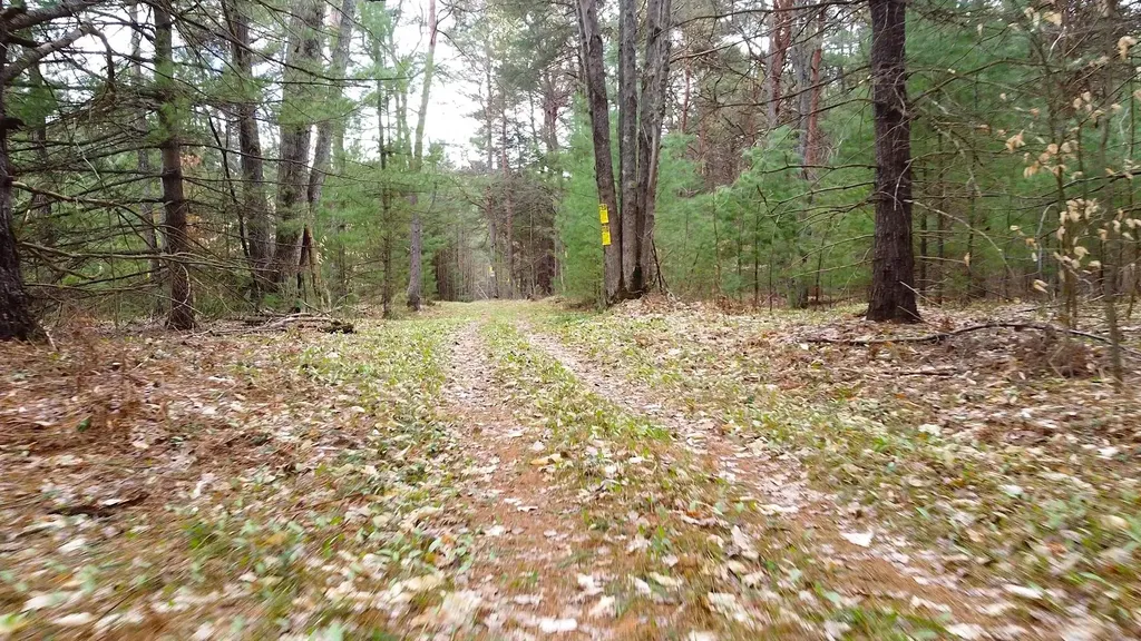 SE Spencer Road Orange Township MI 49646