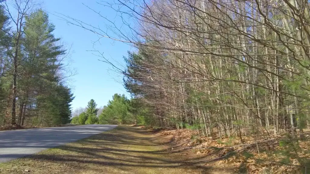 SE Spencer Road Orange Township MI 49646