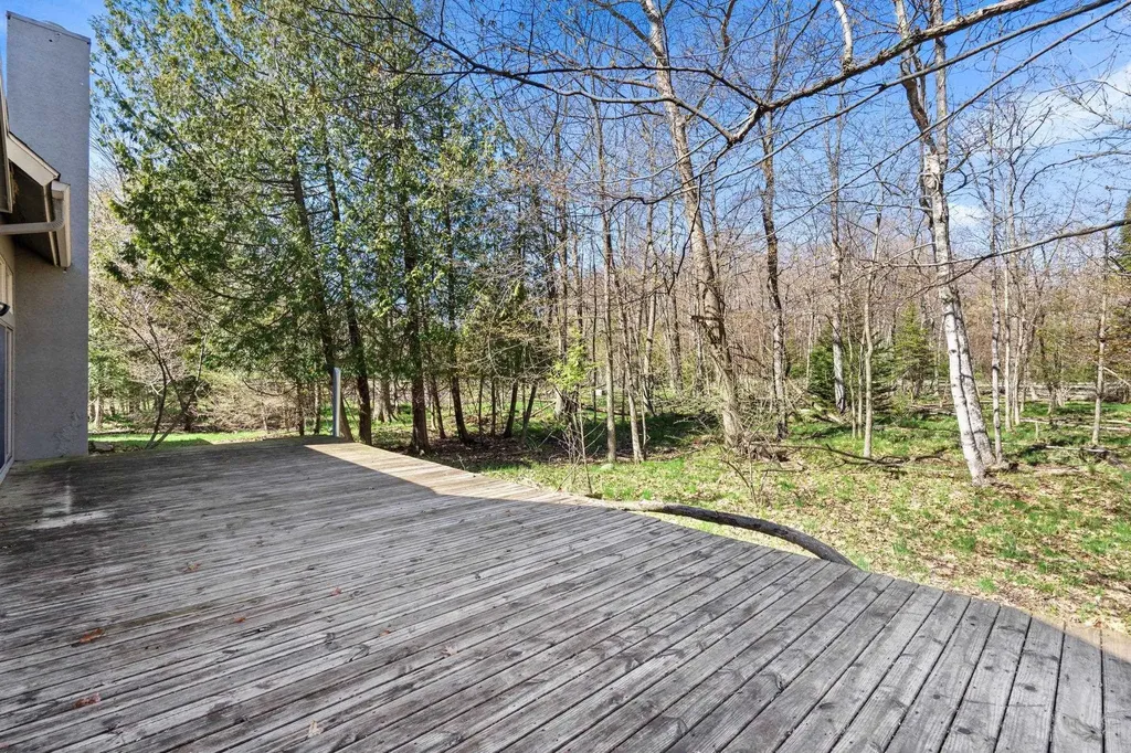 9045 North Pointe Woods Charlevoix Township MI 49720