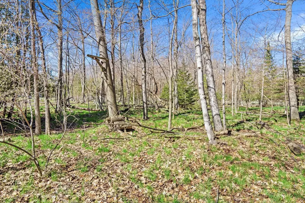 9045 North Pointe Woods Charlevoix Township MI 49720