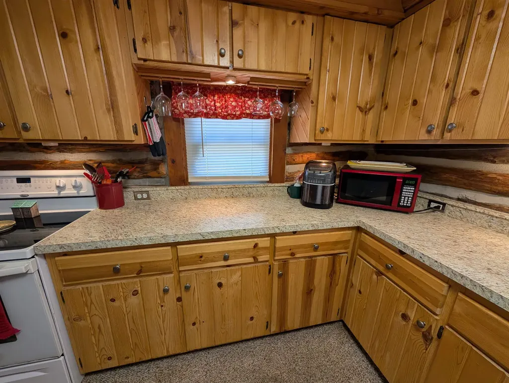 1515 NE W Bear Lake Road Bear Lake Township MI 49646