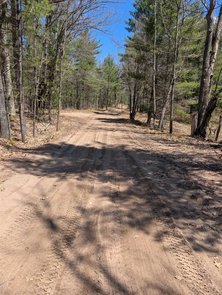 1515 NE W Bear Lake Road Bear Lake Township MI 49646