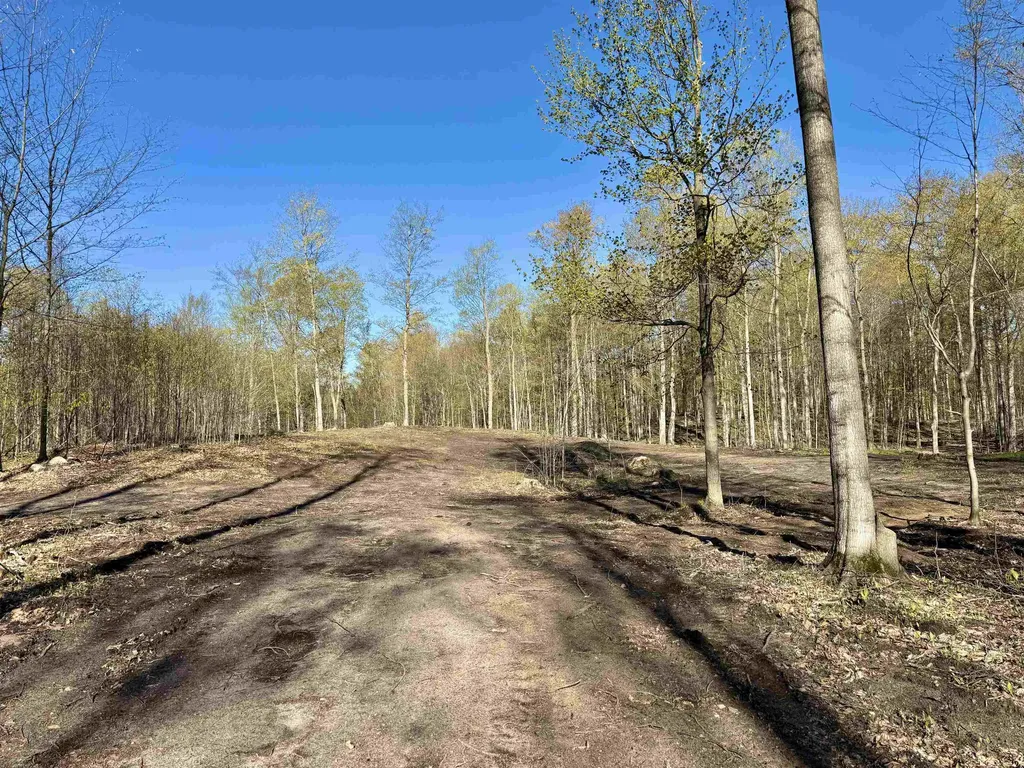 57 S Hermies Pass Empire Township MI 49630