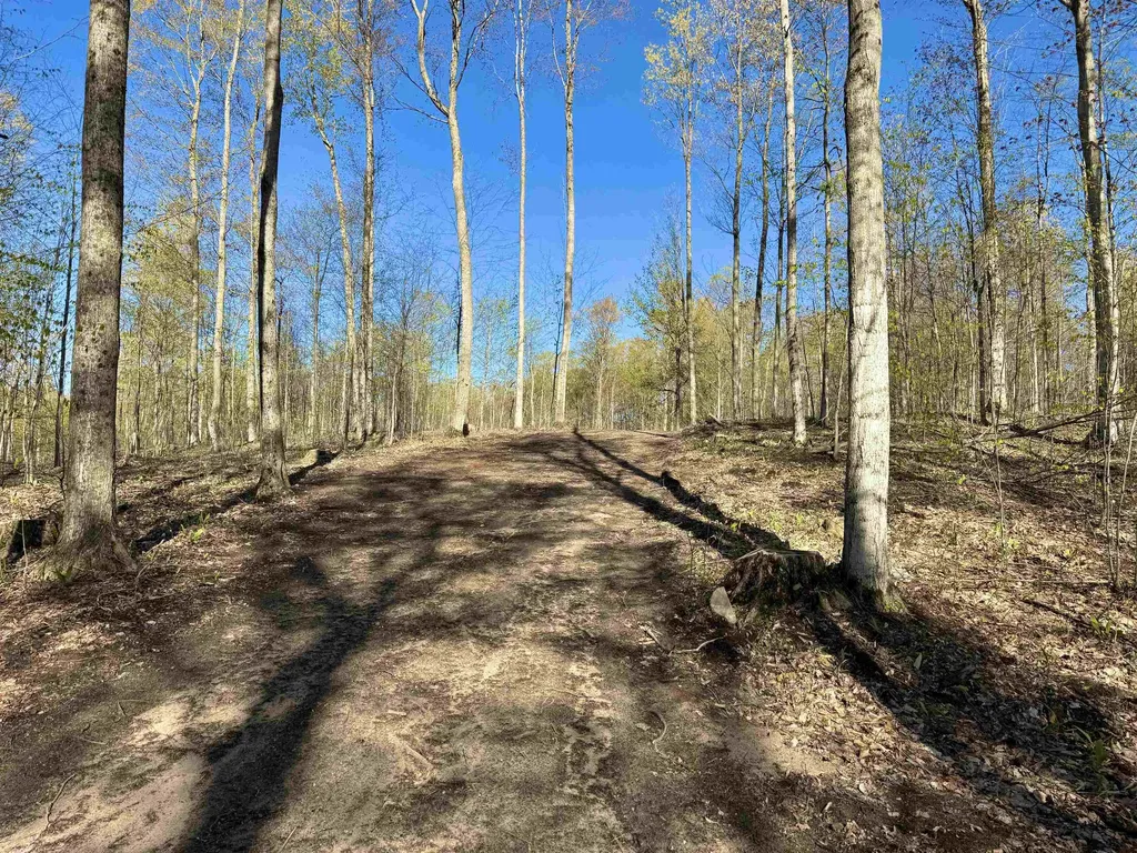 57 S Hermies Pass Empire Township MI 49630