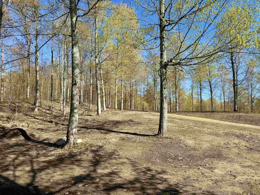 57 S Hermies Pass Empire Township MI 49630