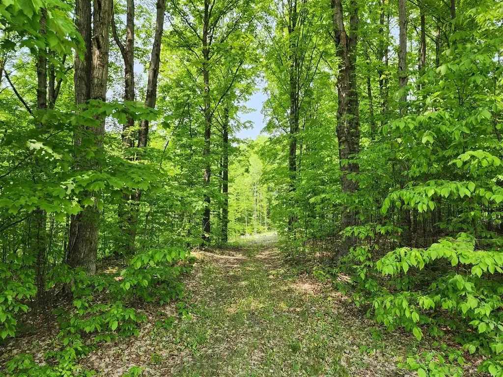 V/l Ravens Roost Long Lake Township MI 49684