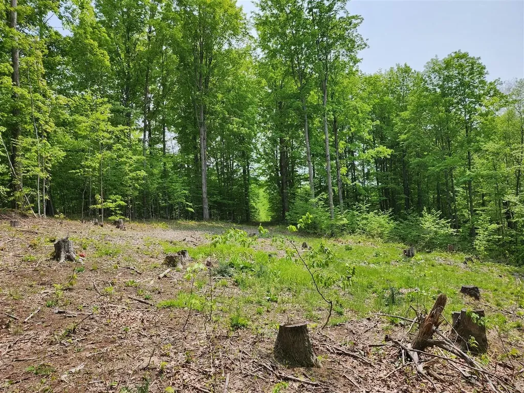 V/l Ravens Roost Long Lake Township MI 49684