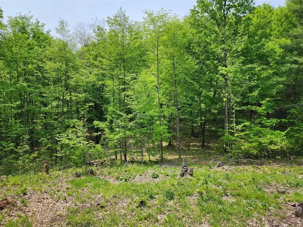 V/l Ravens Roost Long Lake Township MI 49684