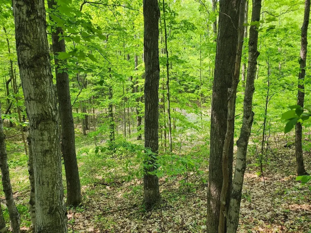 V/l Ravens Roost Long Lake Township MI 49684