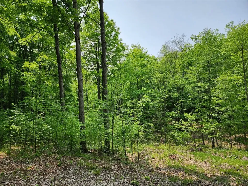 V/l Ravens Roost Long Lake Township MI 49684
