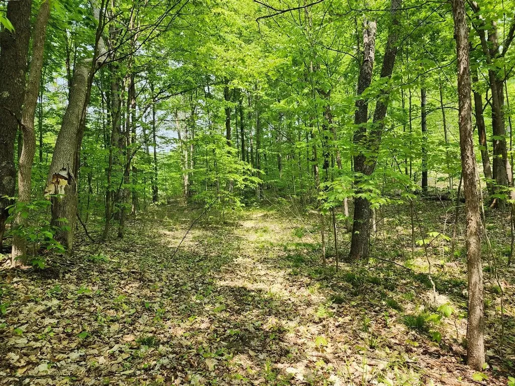 V/l Ravens Roost Long Lake Township MI 49684