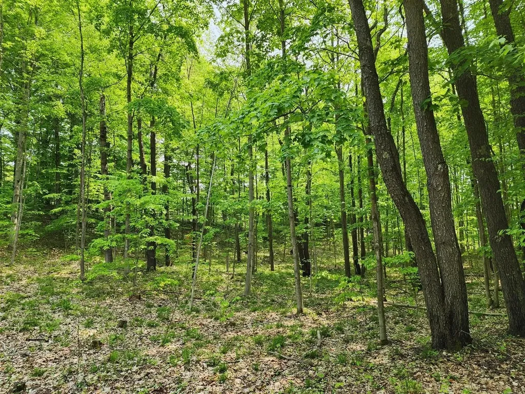 V/l Ravens Roost Long Lake Township MI 49684