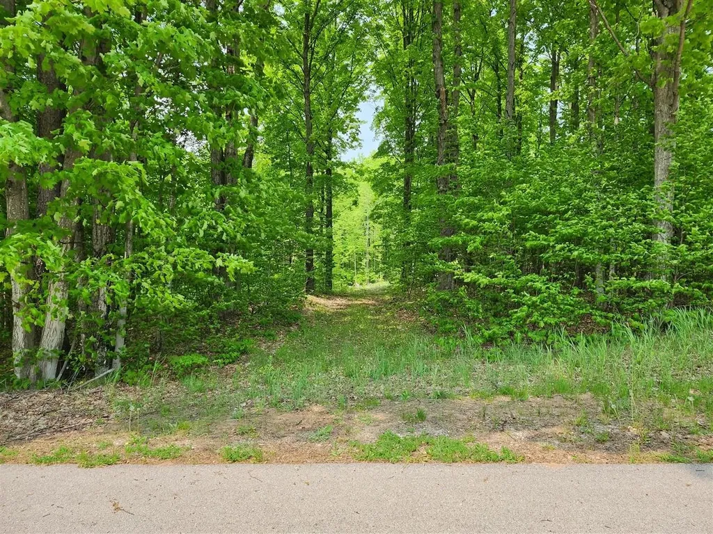 V/l Ravens Roost Long Lake Township MI 49684