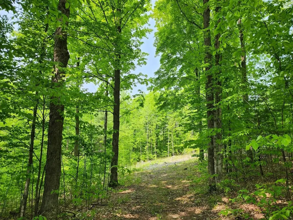 V/l Ravens Roost Long Lake Township MI 49684