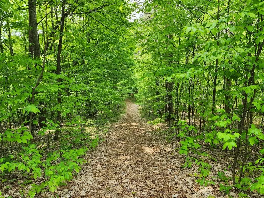 V/l Ravens Roost Long Lake Township MI 49684