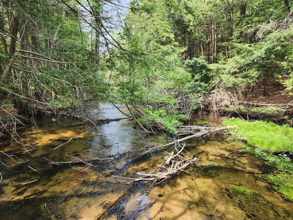 V/l Ravens Roost Long Lake Township MI 49684