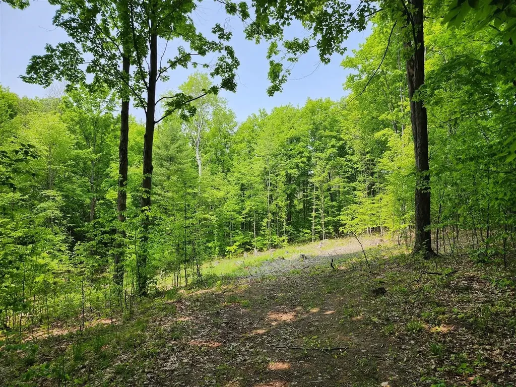 V/l Ravens Roost Long Lake Township MI 49684
