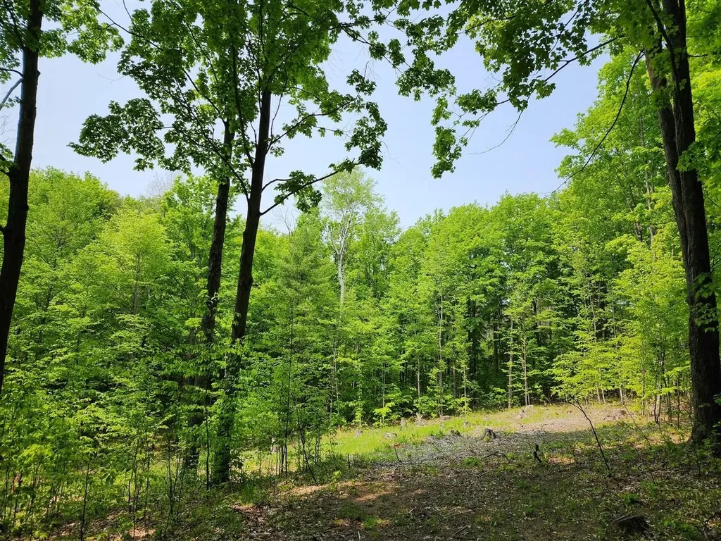 V/l Ravens Roost Long Lake Township MI 49684