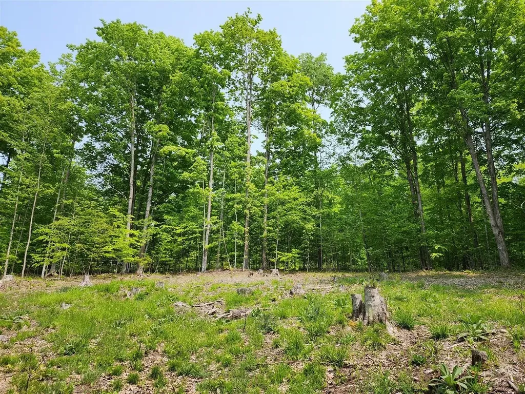 V/l Ravens Roost Long Lake Township MI 49684