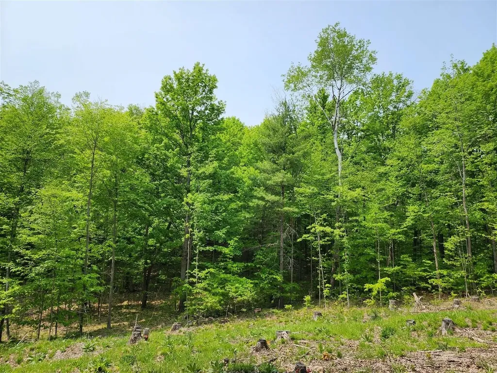 V/l Ravens Roost Long Lake Township MI 49684