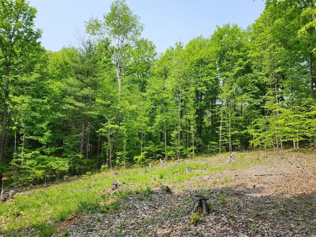 V/l Ravens Roost Long Lake Township MI 49684