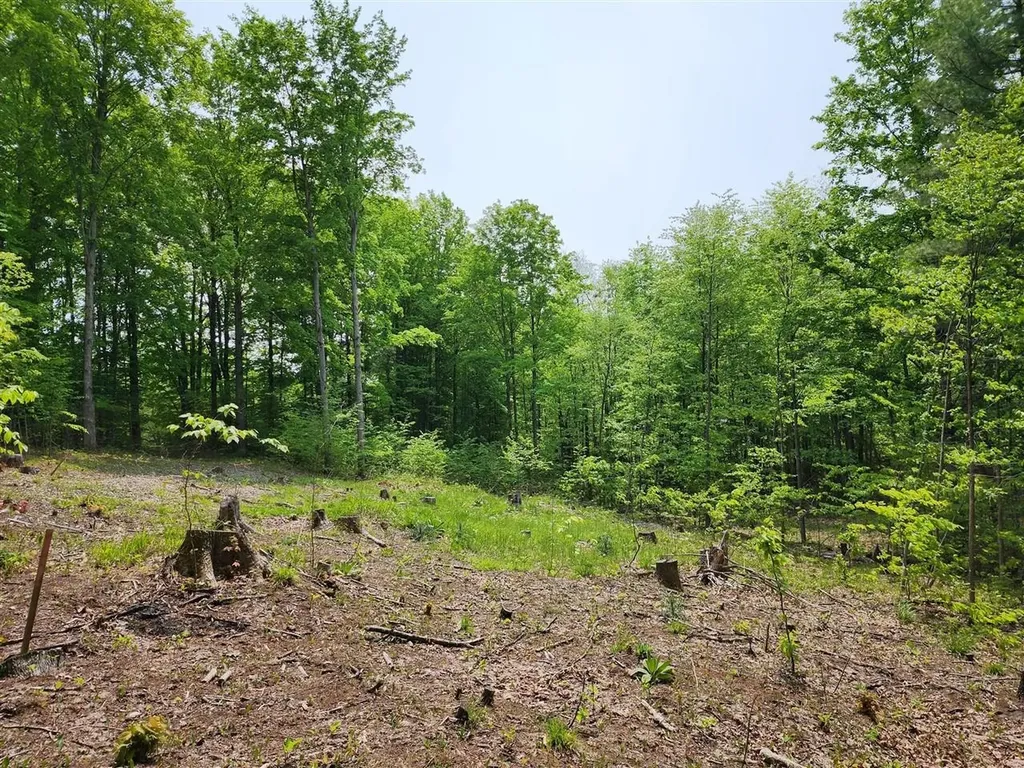 V/l Ravens Roost Long Lake Township MI 49684