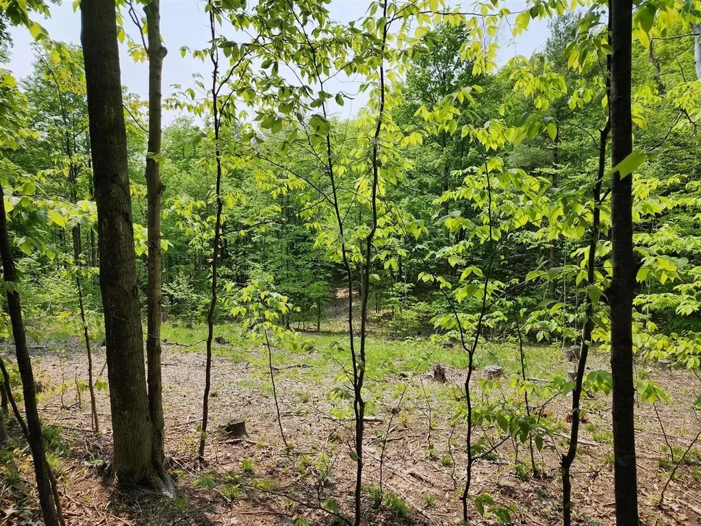 V/l Ravens Roost Long Lake Township MI 49684